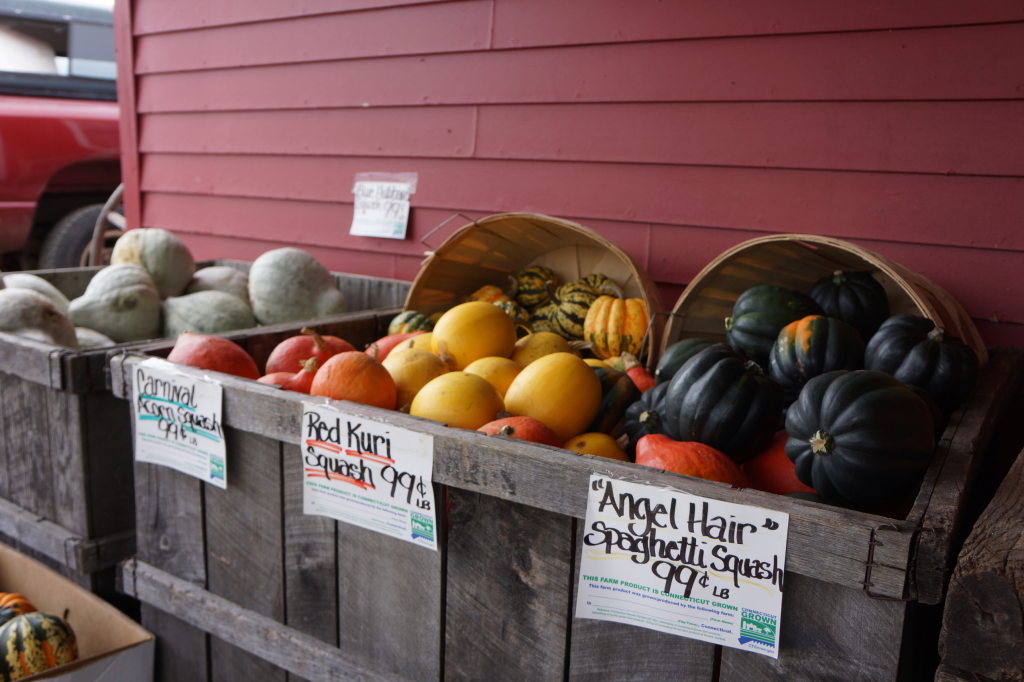 an assortment of winter squash on display and for sale